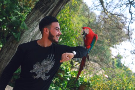 man in black crew neck shirt holding red and blue bird photo