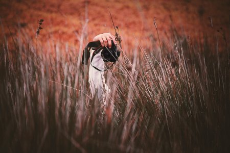 person holding Canon DSLR camera photo