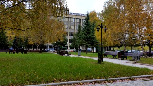 Mitrovic, Autumn, University