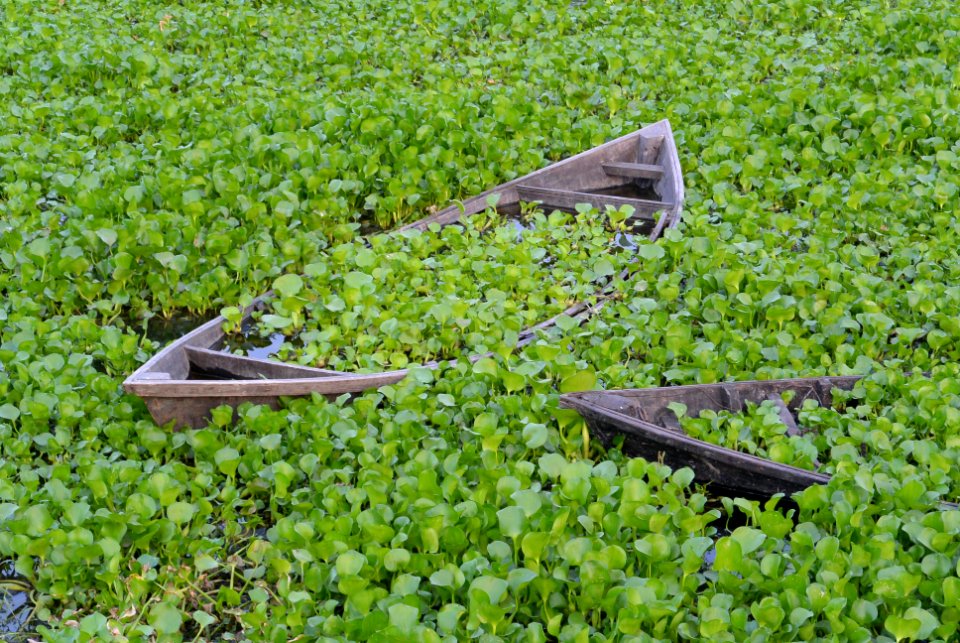 Narayanganj, Bangladesh