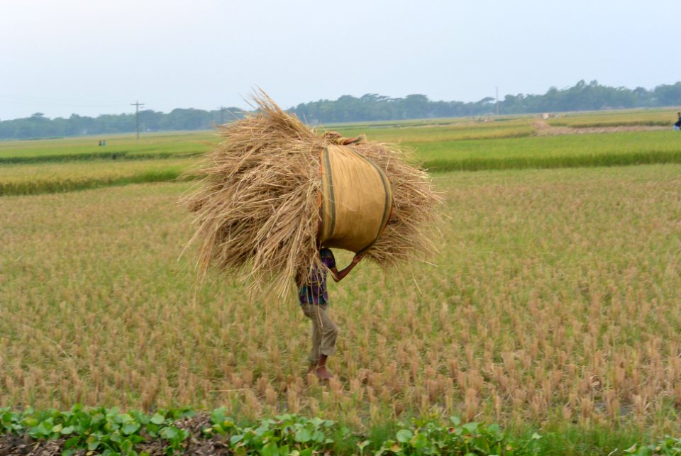 Comilla, Bangladesh