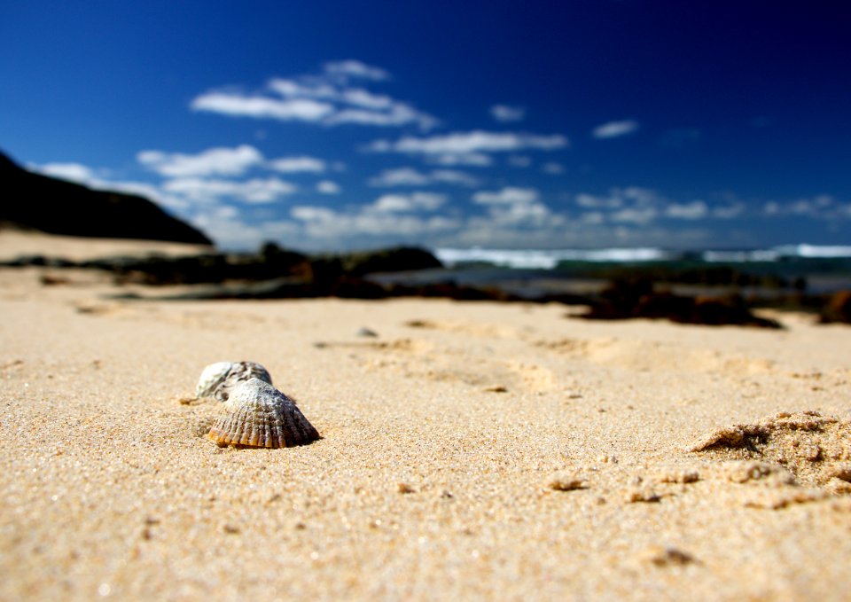 Day, Background, Seaside