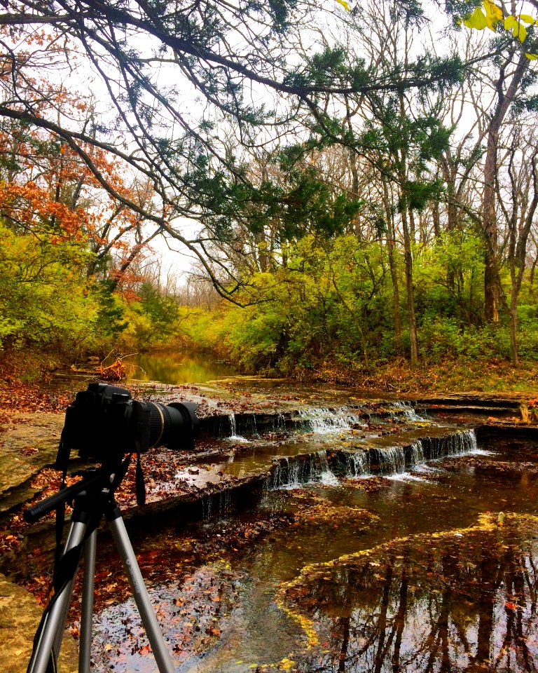 Autumn, Fall, Sturgeon imagery