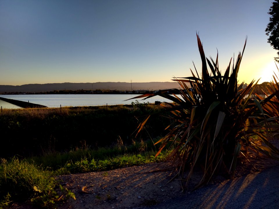 Redwood city, California, United states