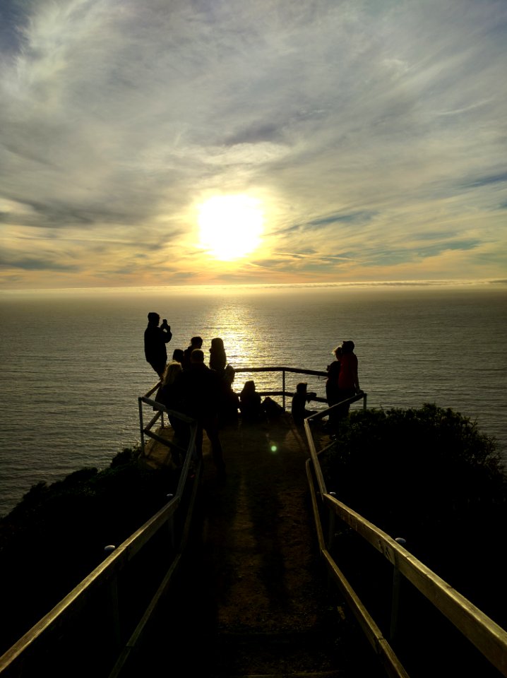 Muir woods national monument, Mill valley, United states