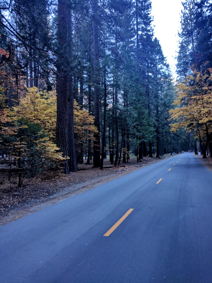 Yosemite national park, California, United states