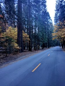 Yosemite national park, California, United states