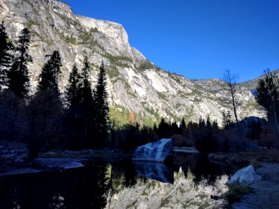 California, United states, Tree photo