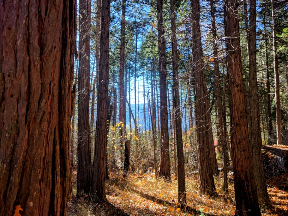 California, United states, Mountains