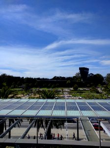 San francisco, Golden gate park, California