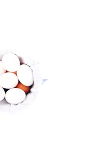 white eggs in bowl photo