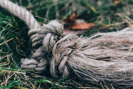 brown rope on grass photo