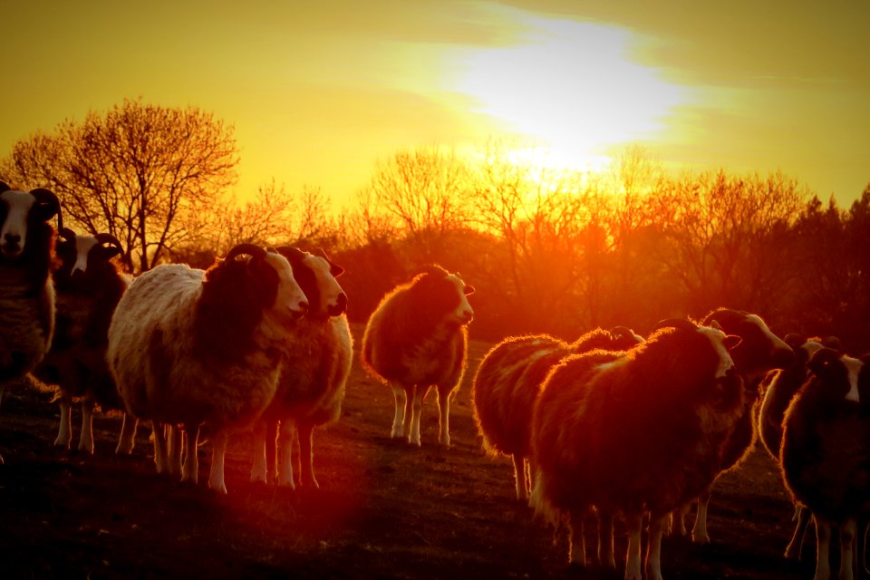 Tufton, Countryside, Magic