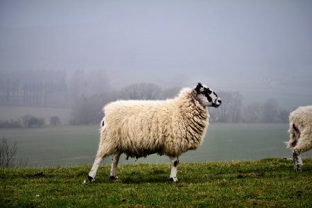 Highclere castle, Highclere, United kingdom