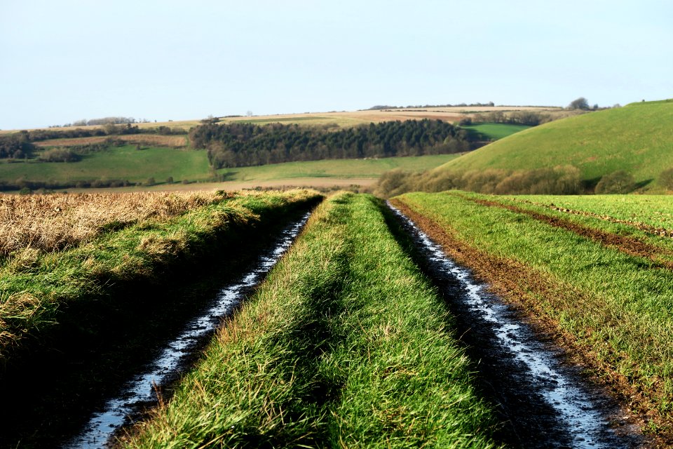 Combe gibbet, Combe, United kingdom