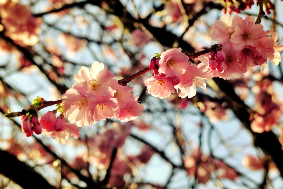 Whitchurch, United kingdom, Spring