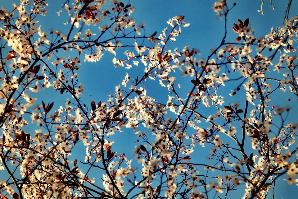 Whitchurch, United kingdom, Sky
