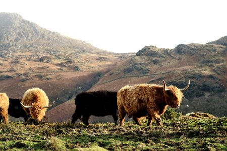 Honister pass, Keswick, United kingdom