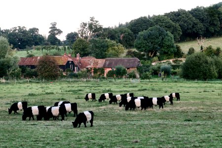 Freefolk, United kingdom, Englishcountryside