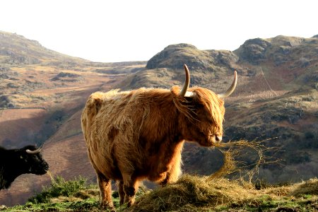 Honister pass, Keswick, United kingdom