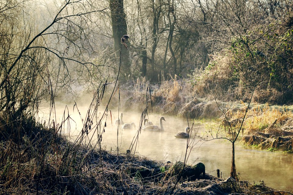 Whitchurch, United kingdom, Nature