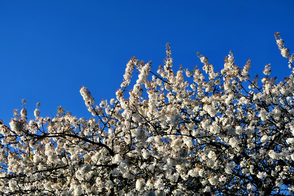 Whitchurch, United kingdom, Lookup