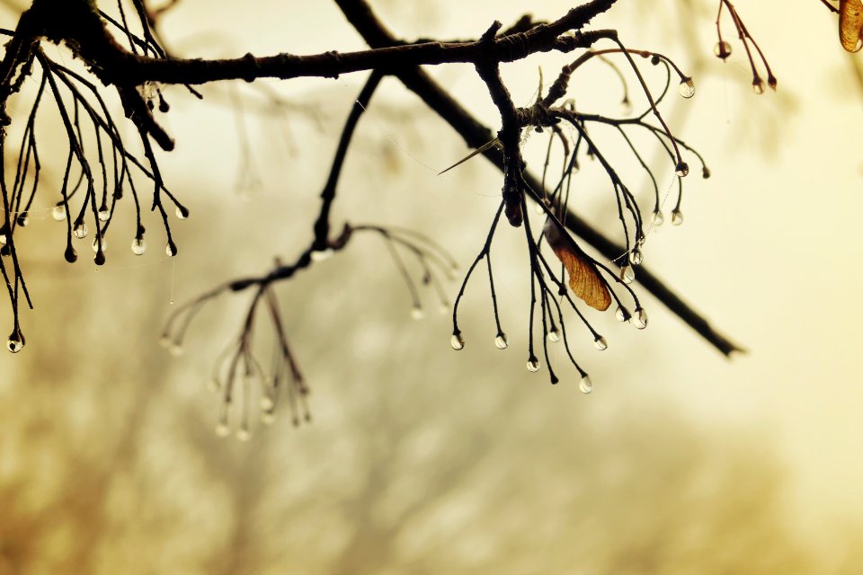 Pouring, Wet, Raining