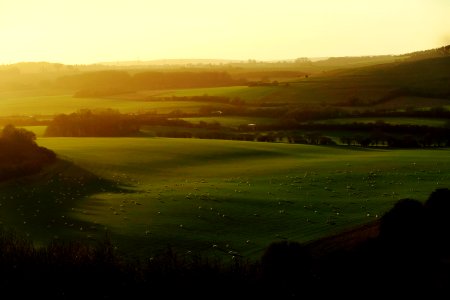 golden hour photography of grass field photo