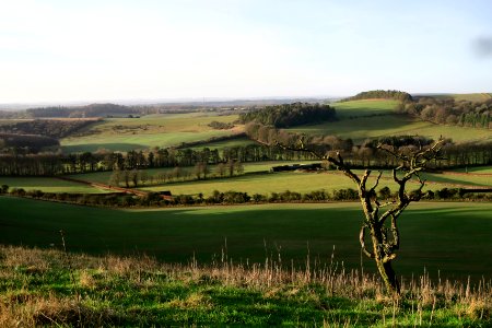 Beacon hill, Burghclere, United kingdom