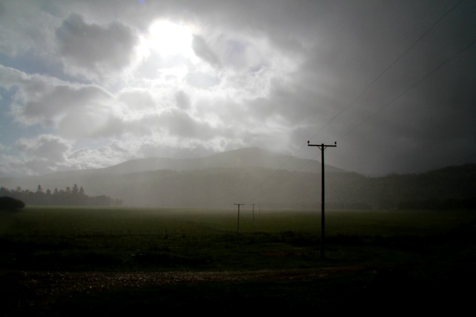 Nature, Scotl, United kingdom
