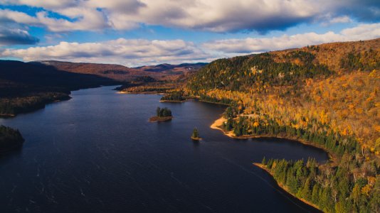 trees beside lake photo