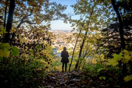 girl standing between green tree photo