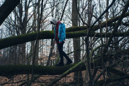 Noface, People, Trees