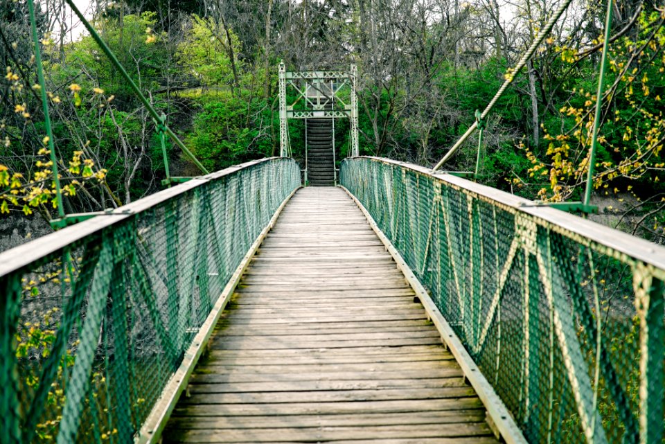Wood, Green, Bridges