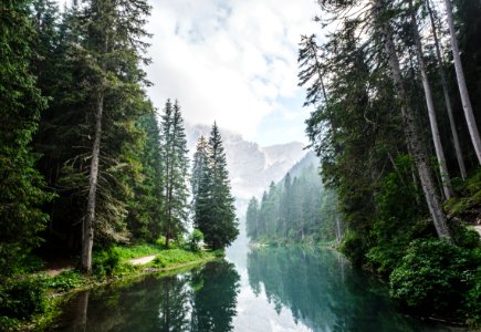 body of water surrounded by pine trees during daytime photo