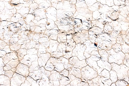 cracked soil