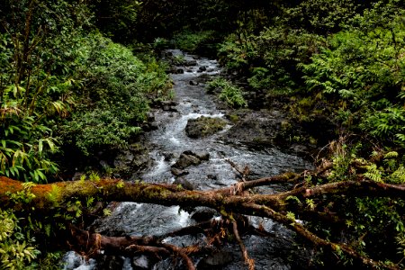 timelapse photography of river surrounded with trees photo