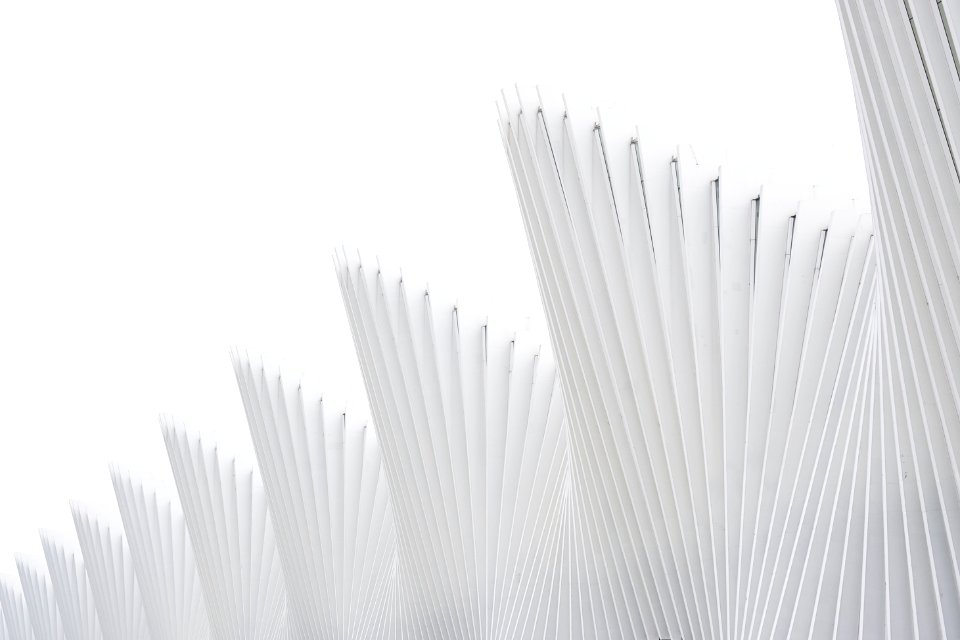 White ribs in a facade against a white sky