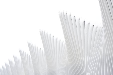 White ribs in a facade against a white sky