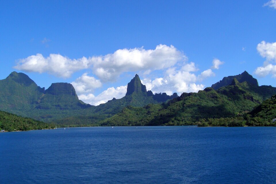 Society island tropical