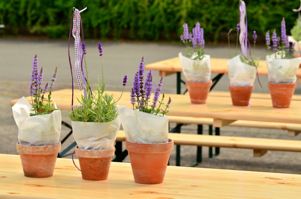 Decoration garden out