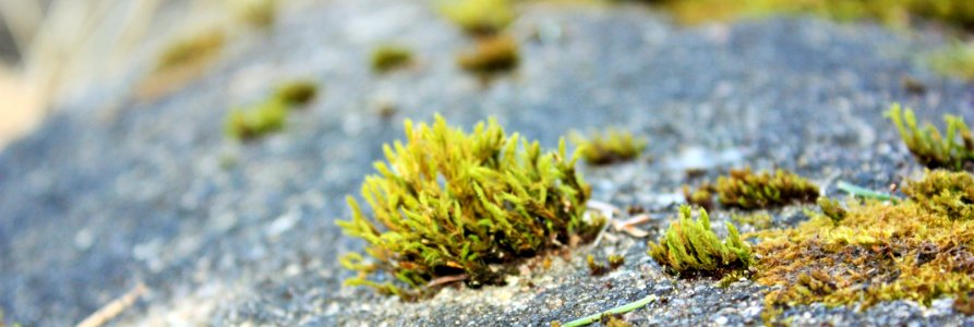 Keuruu, Suomi, Nature