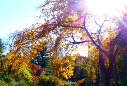 New york, Imagine, Terrace dr