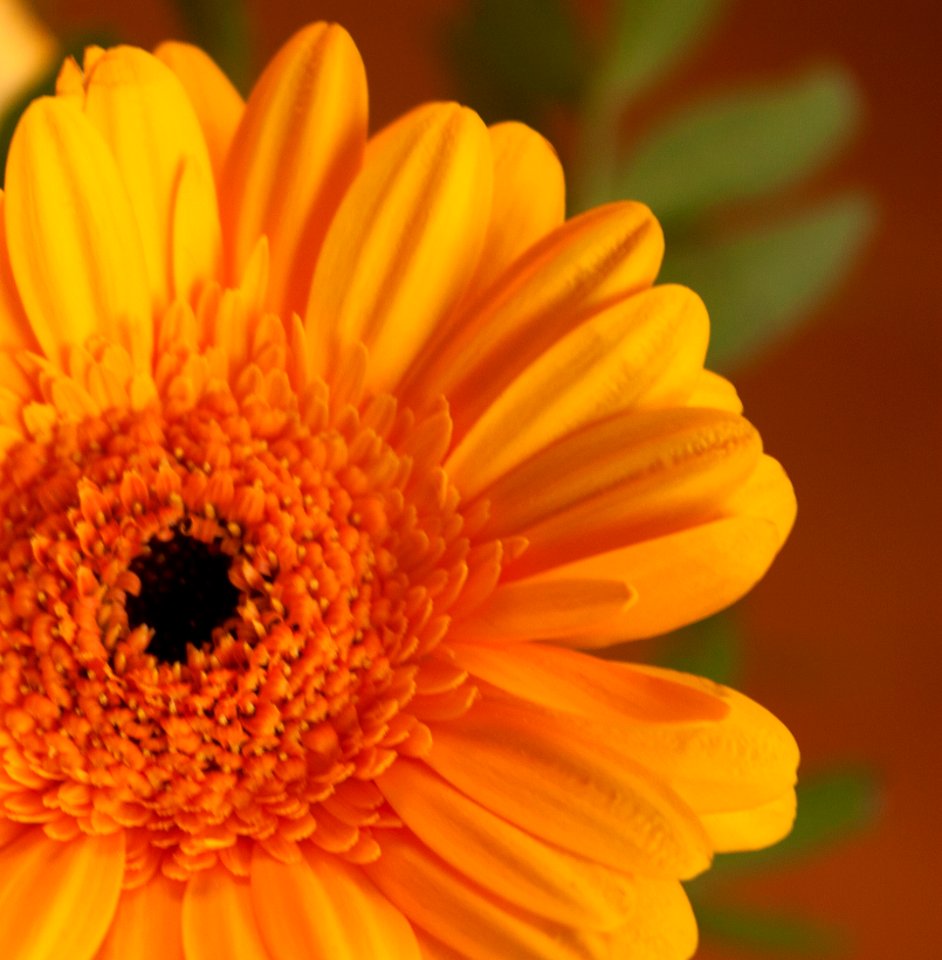 Beautiful, Home, Yellow