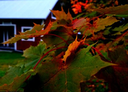 Keepitsimple, Summercottagelife, House