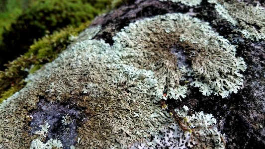 Keskisuomi, Suomi, Stone