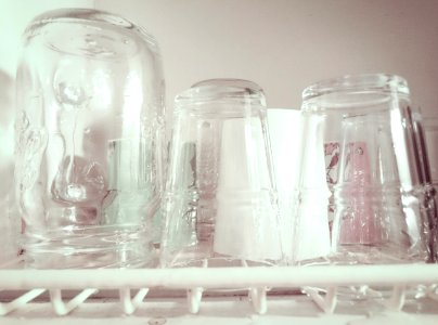 Everyday, Family, Clean
