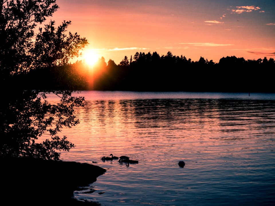 Petjs, Rauma, Finl