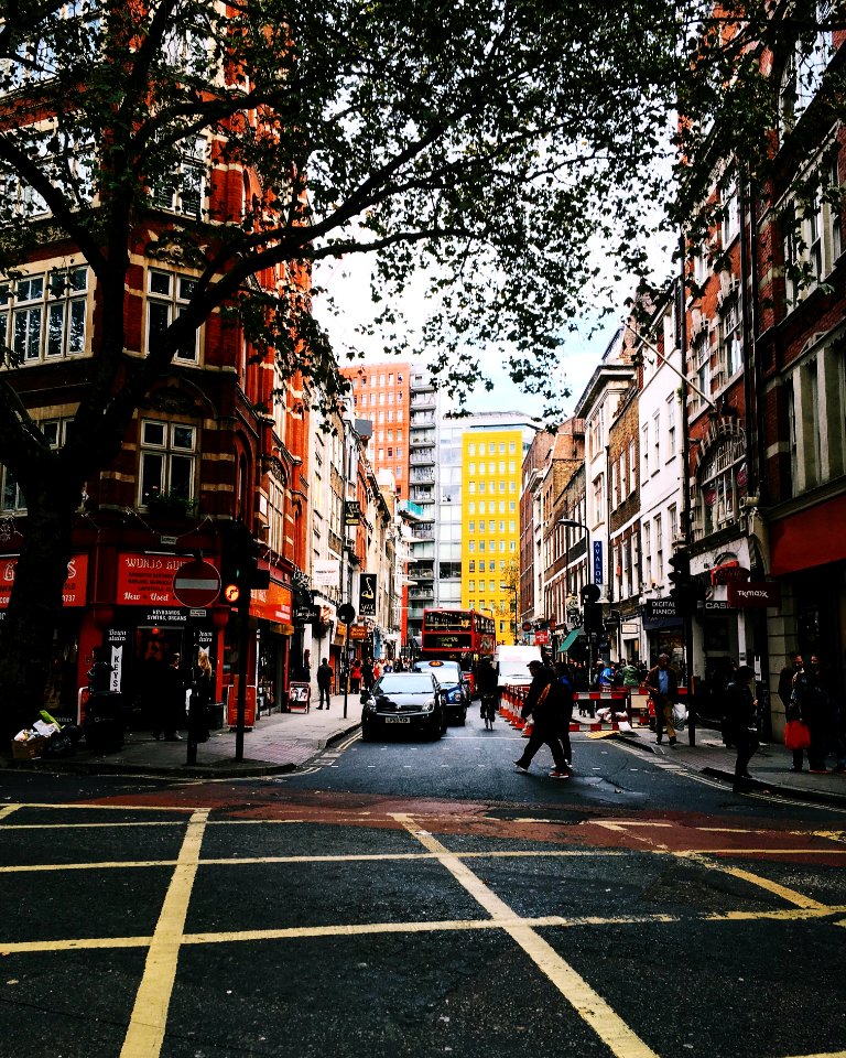 low angle photo of green trees beside buildings