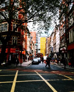 low angle photo of green trees beside buildings